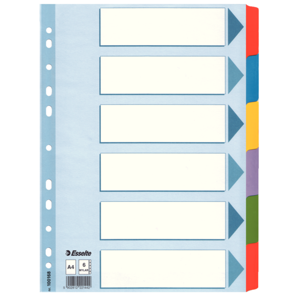 Przekładki Esselte mylar z kartonu, A4 kolor wielobarwny | biuroweokazje.pl | Wybierz i kup!