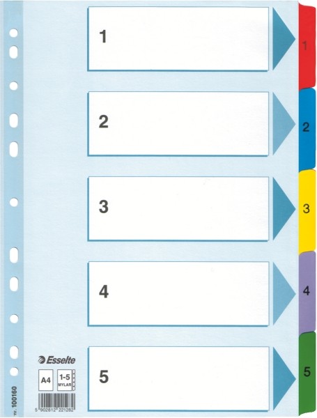 Przekładki Esselte mylar z kartonu, A4 kolor wielobarwny | biuroweokazje.pl | Wybierz najlepsze!