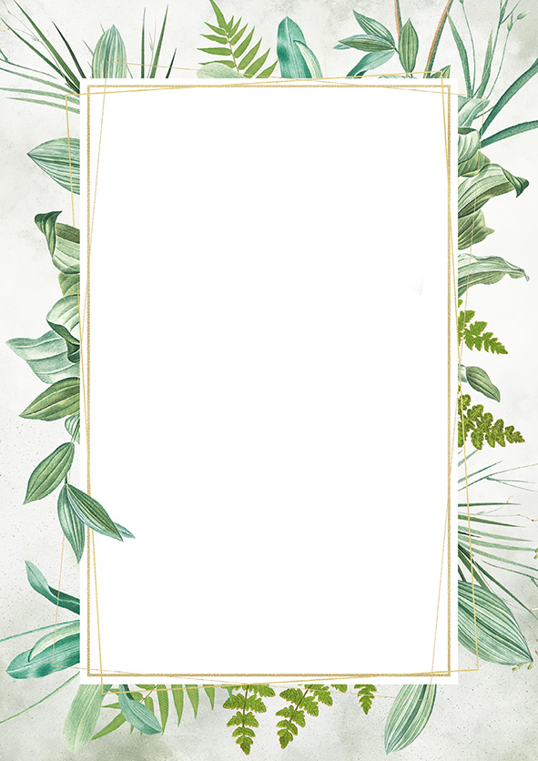 Dyplom botanic 170 g/m2 zestaw 25 sztuk. | biuroweokazje.pl | Skorzystaj dziś!