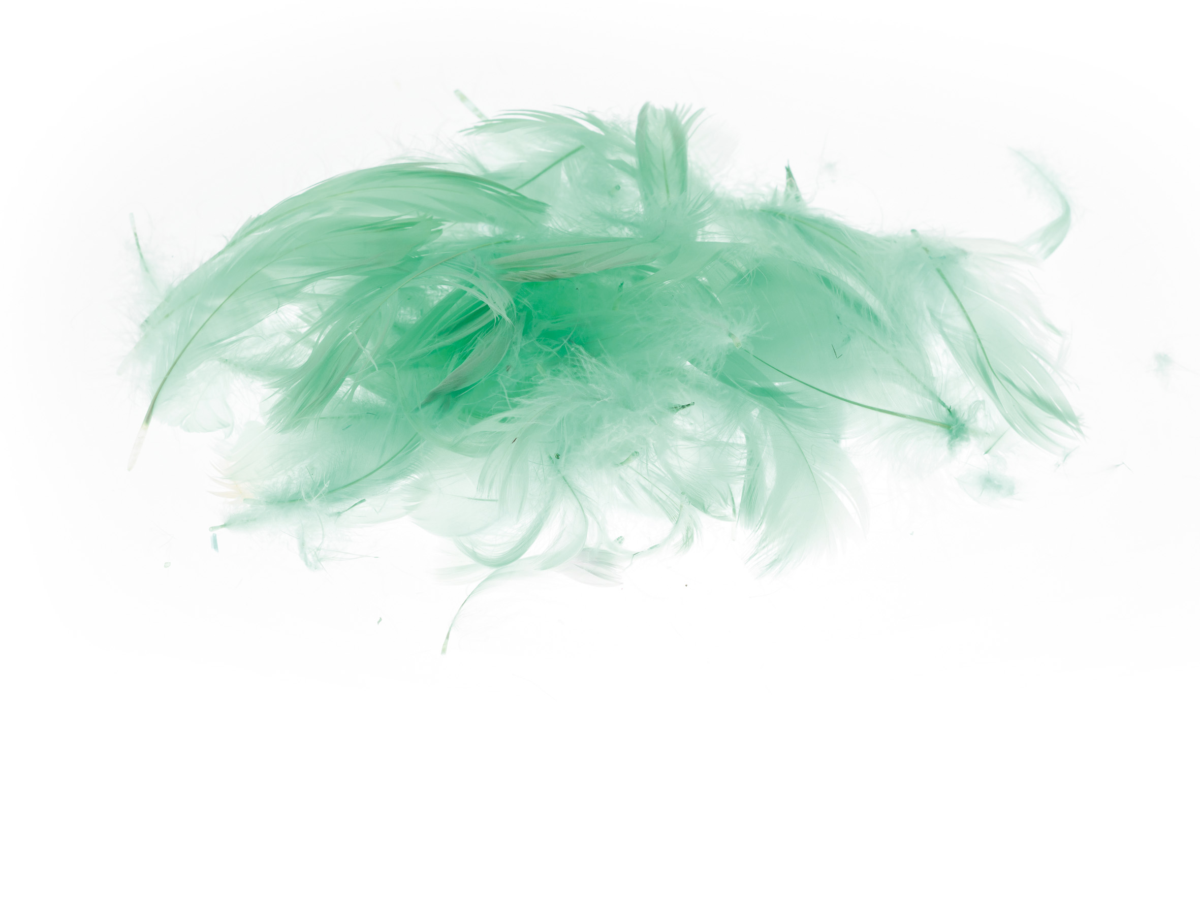 Piórka Brewis 7 g pistacjowe do biura | biuroweokazje.pl | Kup już teraz!