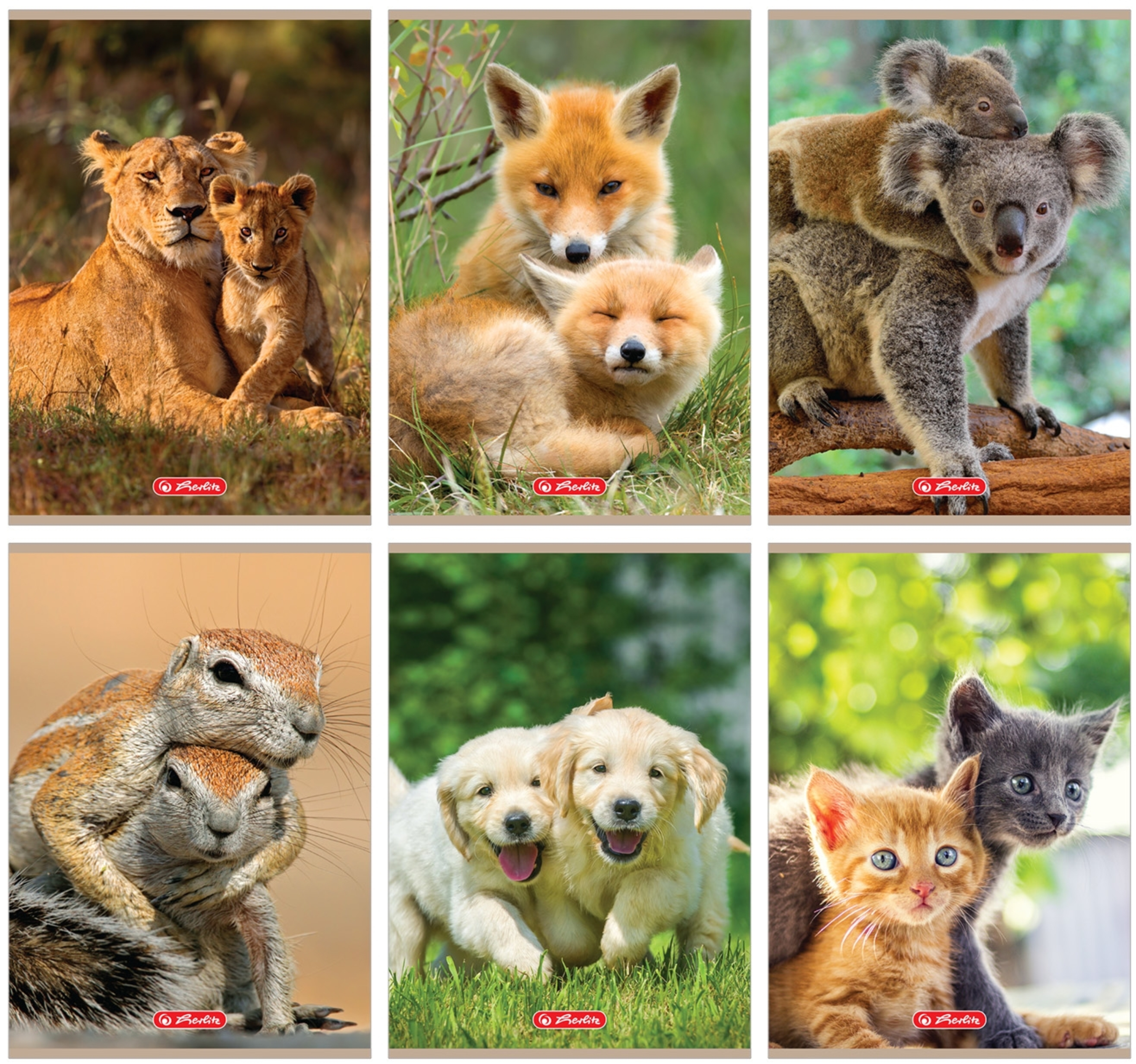 Zeszyt A5 32k linia podwójna animals | biuroweokazje.pl | Wybierz najlepszą opcję