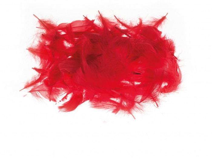 Kolorowe piórka Brewis czerwony | biuroweokazje.pl | Kliknij i kup!