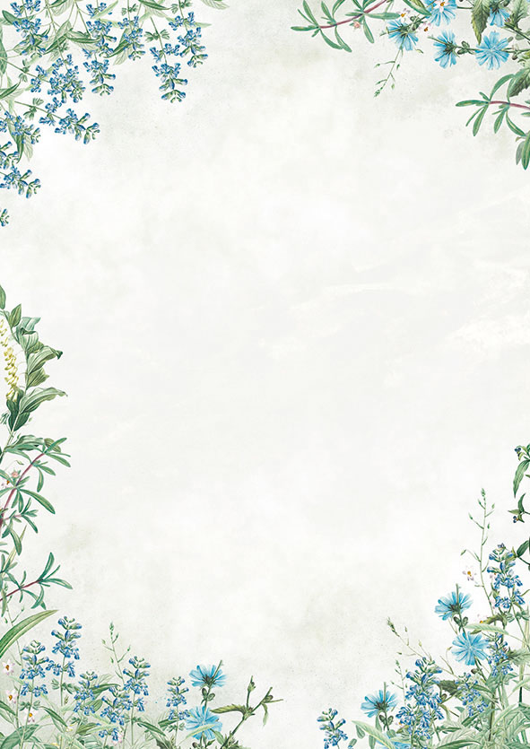 Dyplom Galeria Papieru A4 fiori blue 100 g zestaw 50 sztuk. | biuroweokazje.pl | Zamów online!