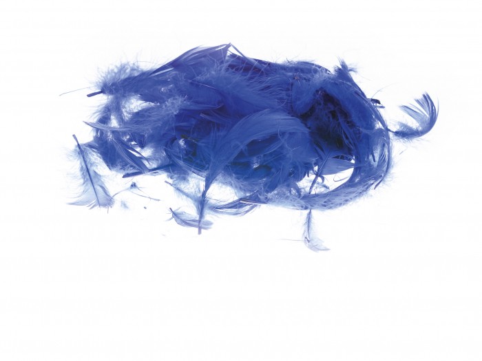 Kolorowe piórka Brewis niebieski | biuroweokazje.pl | Postaw na jakość!