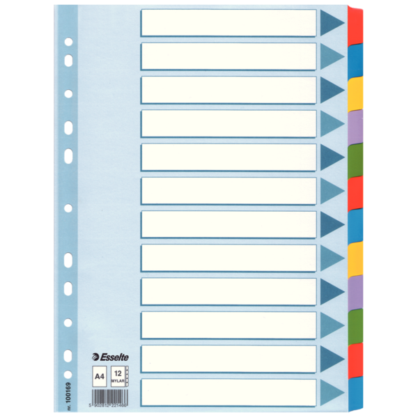 Przekładki Esselte mylar z kartonu, A4 kolor wielobarwny | biuroweokazje.pl | Działaj śmiało!
