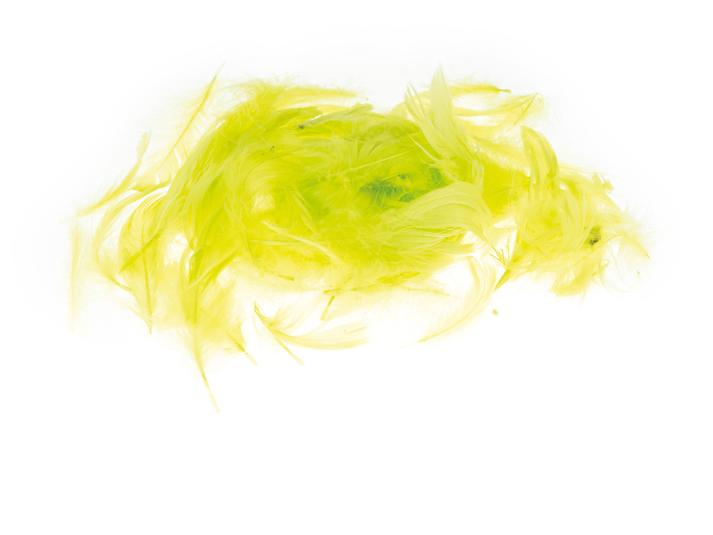 Piórka Brewis 7 g oliwkowe jasne | biuroweokazje.pl | Zamów z gwarancją!