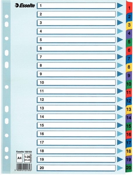 Przekładki Esselte mylar z kartonu, A4 kolor wielobarwny | biuroweokazje.pl | Skorzystaj dziś!