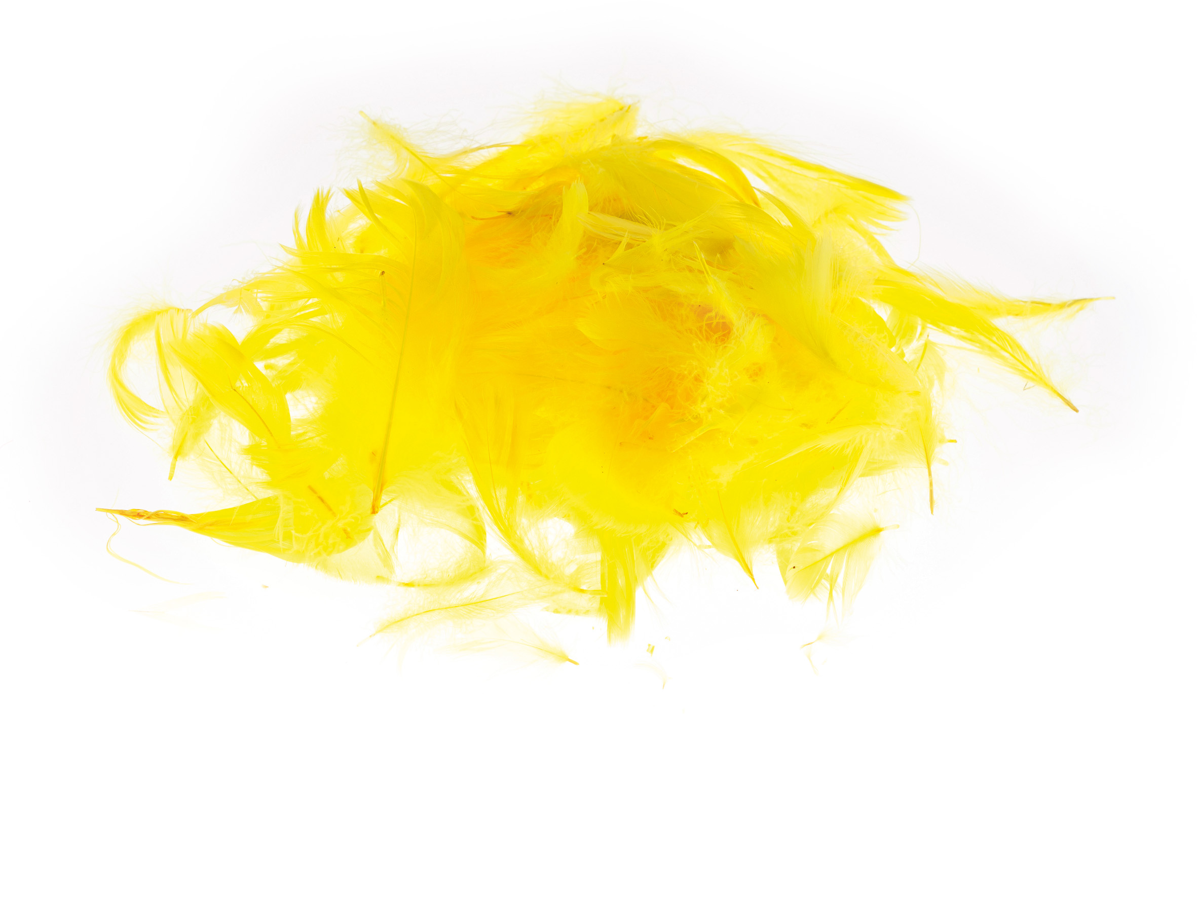 Kolorowe piórka Brewis żółty do biura | biuroweokazje.pl | Weź najlepsze!