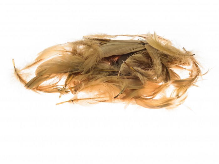 Kolorowe piórka Brewis brązowy | biuroweokazje.pl | Kup online!