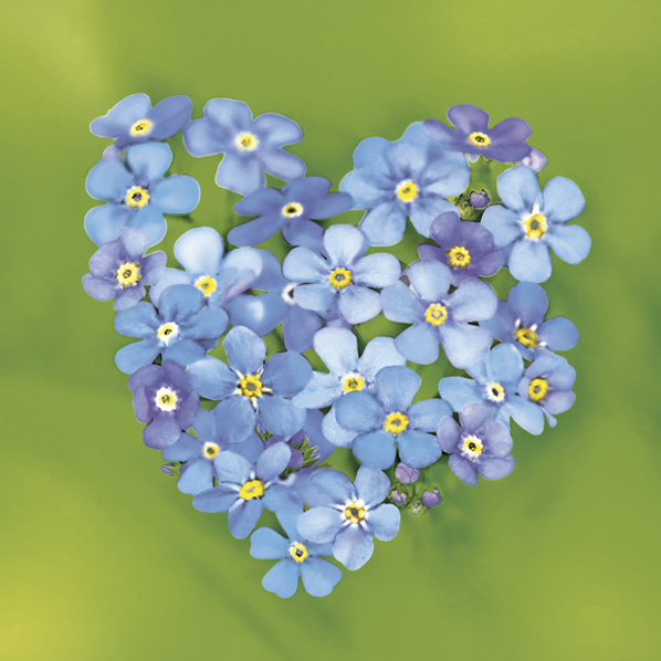 Serwetki Papierowe Forget-me-nots Heart 33 x 33 cm Daisy Lunch napkins | biuroweokazje.pl | Sprawdź cenę!