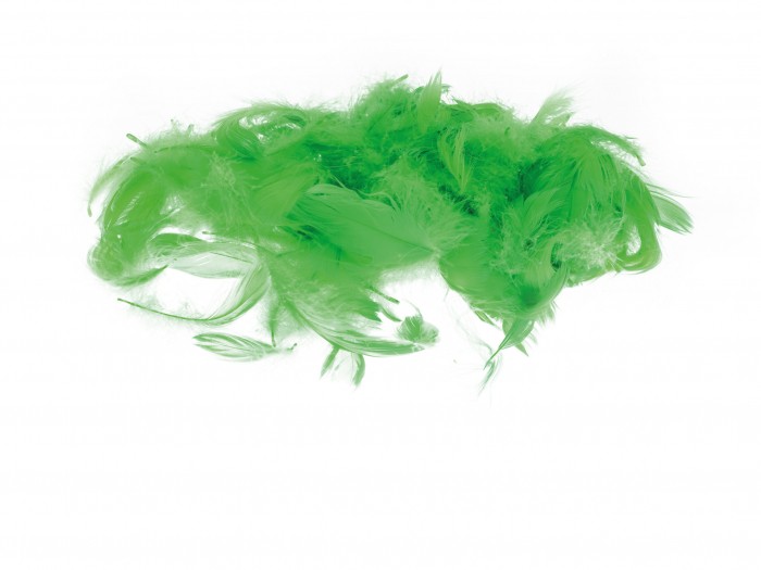 Kolorowe piórka Brewis zielony | biuroweokazje.pl | Postaw na jakość!