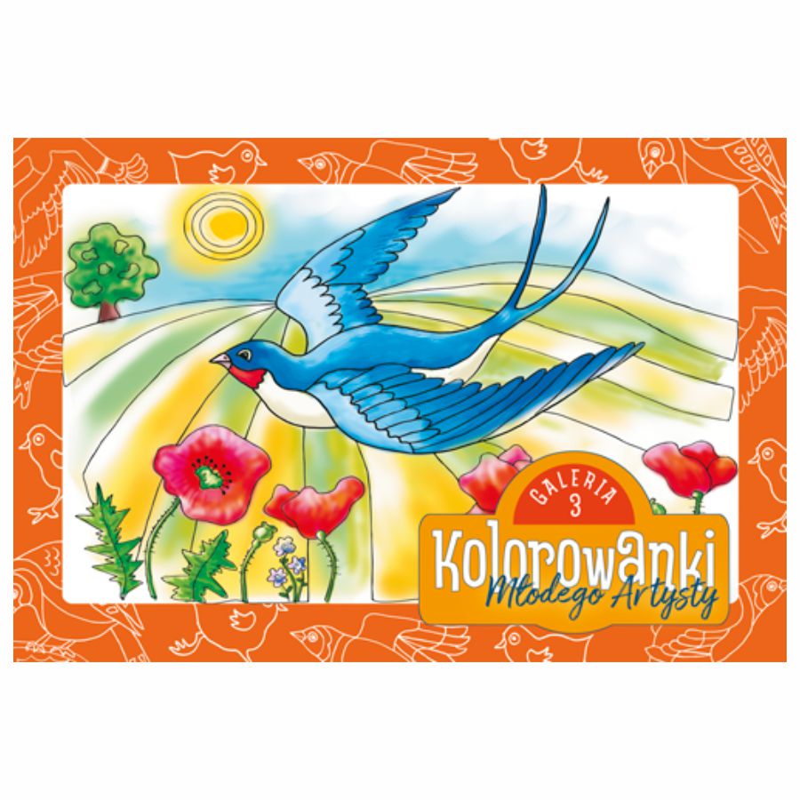 Kolorowanki młodego artysty 4+ B5 ptaki | biuroweokazje.pl | Sprawdź ofertę!