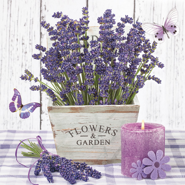Serwetki Papierowe Lavender in a Wooden Pot 33 x 33 cm Daisy Lunch napkins | biuroweokazje.pl | Zamów błyskawicznie!