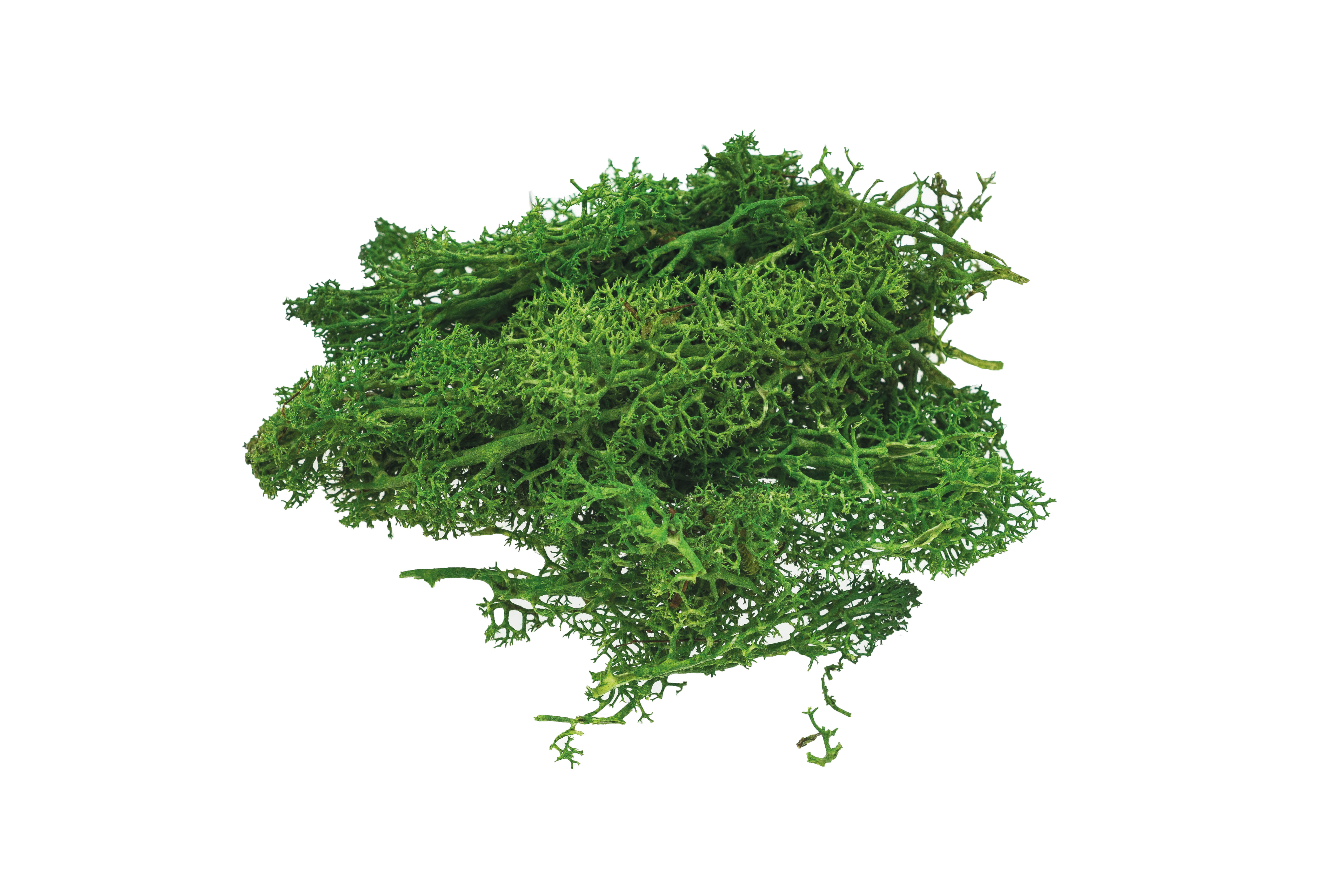 Mech dekoracyjny sztuczny 10 g zielony jasny | biuroweokazje.pl | Kup pewnie!