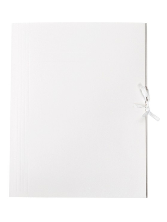 Teczka wiązana archiwizacyjna Bigo 320 x 250 mm | biuroweokazje.pl | Kup skutecznie!