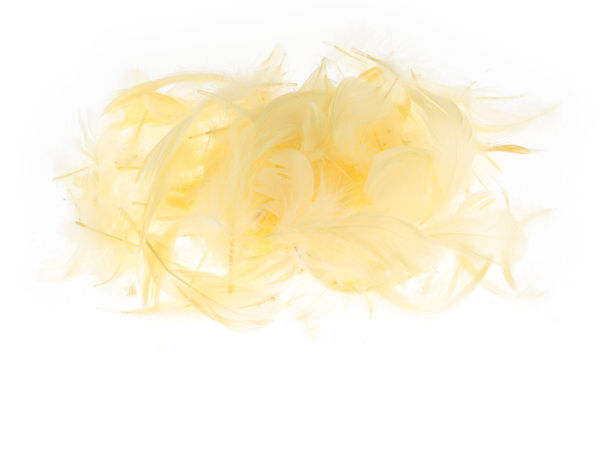 Piórka Brewis 7 g pomarańczowe jasne | biuroweokazje.pl | Kup bez wahania!