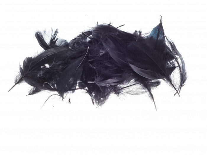 Kolorowe piórka Brewis czarny do biura | biuroweokazje.pl | Kup wygodnie!