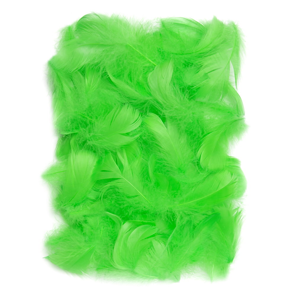 Piórka 5-12 cm, 10 g green do biura | biuroweokazje.pl | Wybierz hit!