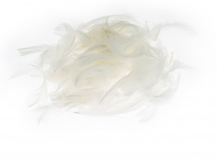 Kolorowe piórka Brewis białe do biura | biuroweokazje.pl | Odbierz szybko!