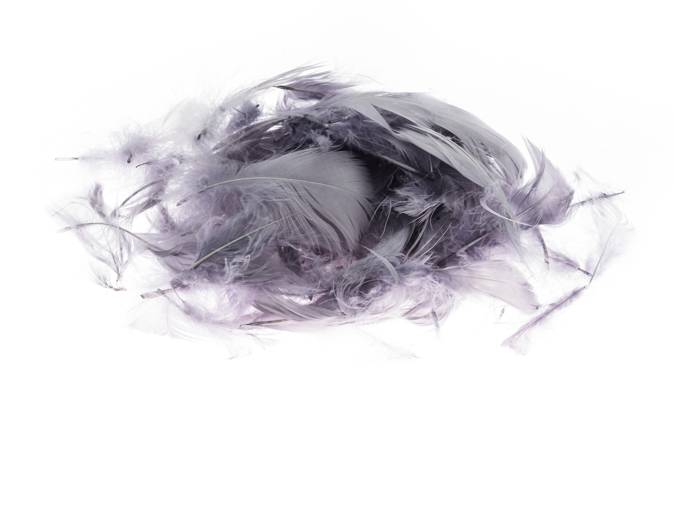 Piórka Brewis 7 g szare do biura | biuroweokazje.pl | Zamów bezpiecznie!