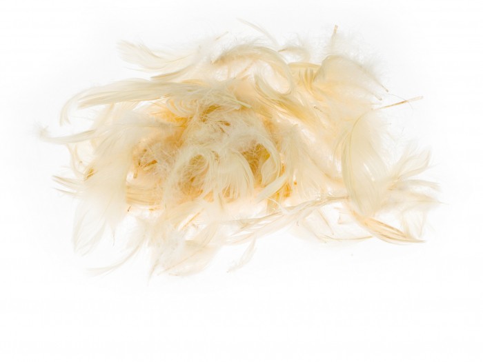 Kolorowe piórka Brewis ecru do biura | biuroweokazje.pl | Wybierz najlepsze!