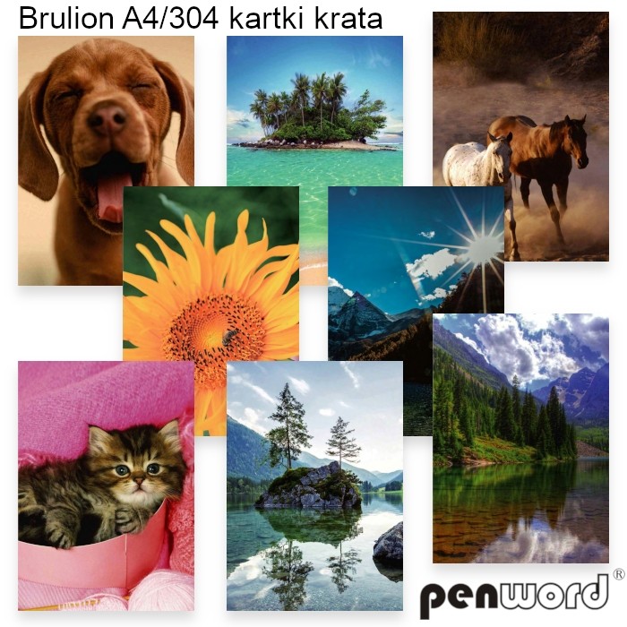 Brulion A4 304 kartki w kratkę Penword | biuroweokazje.pl | Sprawdź co przygotowaliśmy