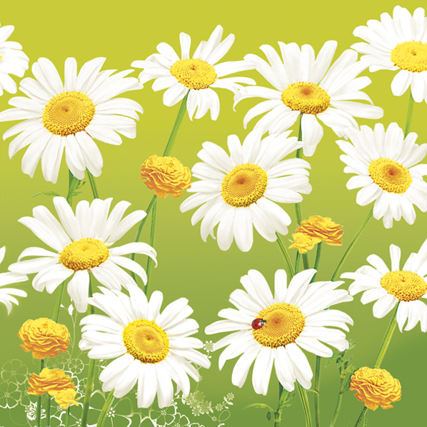 Serwetki Papierowe Lovely Marguerites on Green 33 x 33 cm Daisy Lunch napkins | biuroweokazje.pl | Kup od razu!