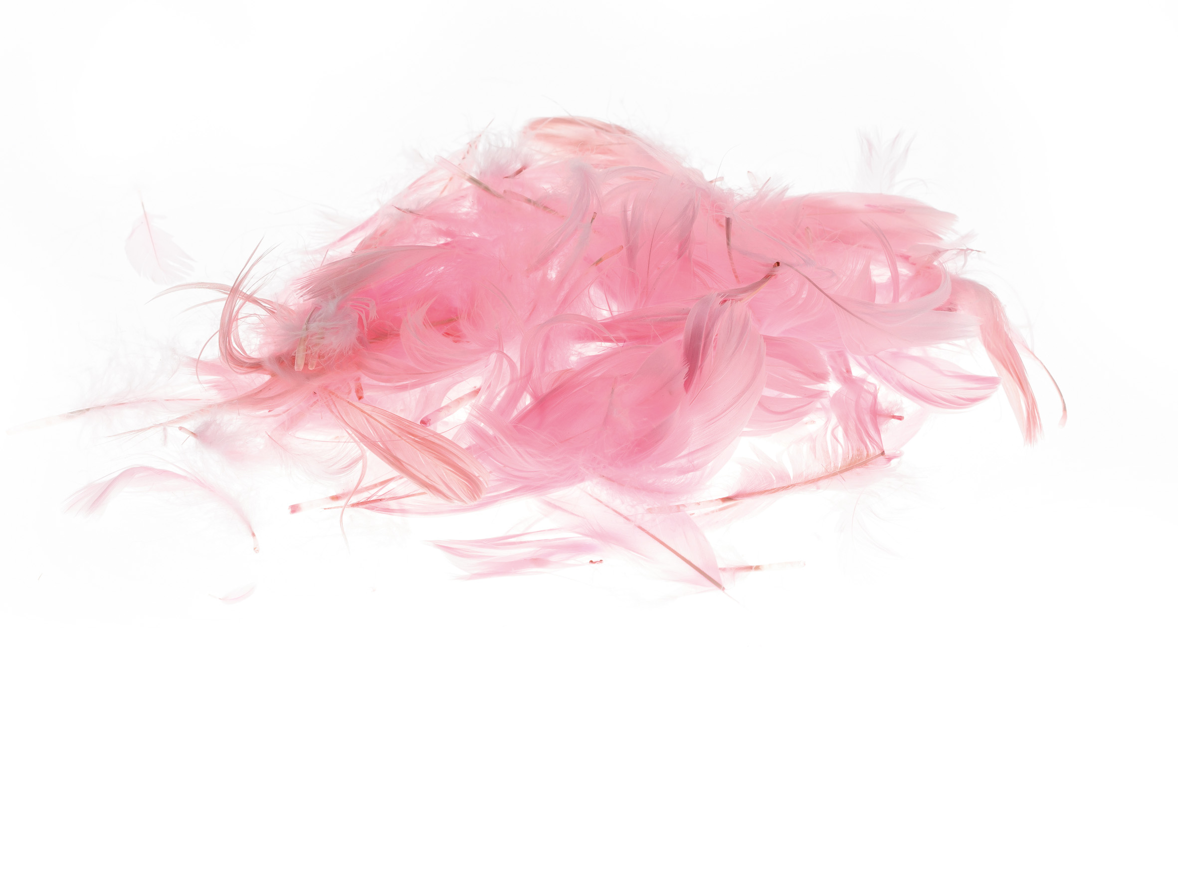 Piórka Brewis 7 g różowe jasne | biuroweokazje.pl | Zamów wygodnie!