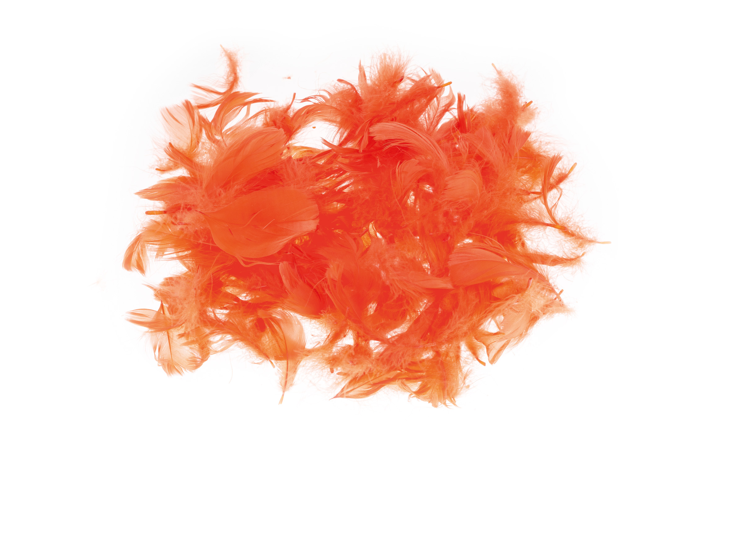 Piórka Brewis 7 g czerwone jasne | biuroweokazje.pl | Kup od razu!